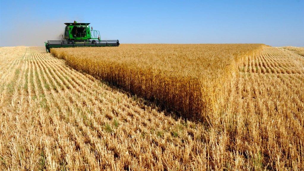Сбор пшеницы