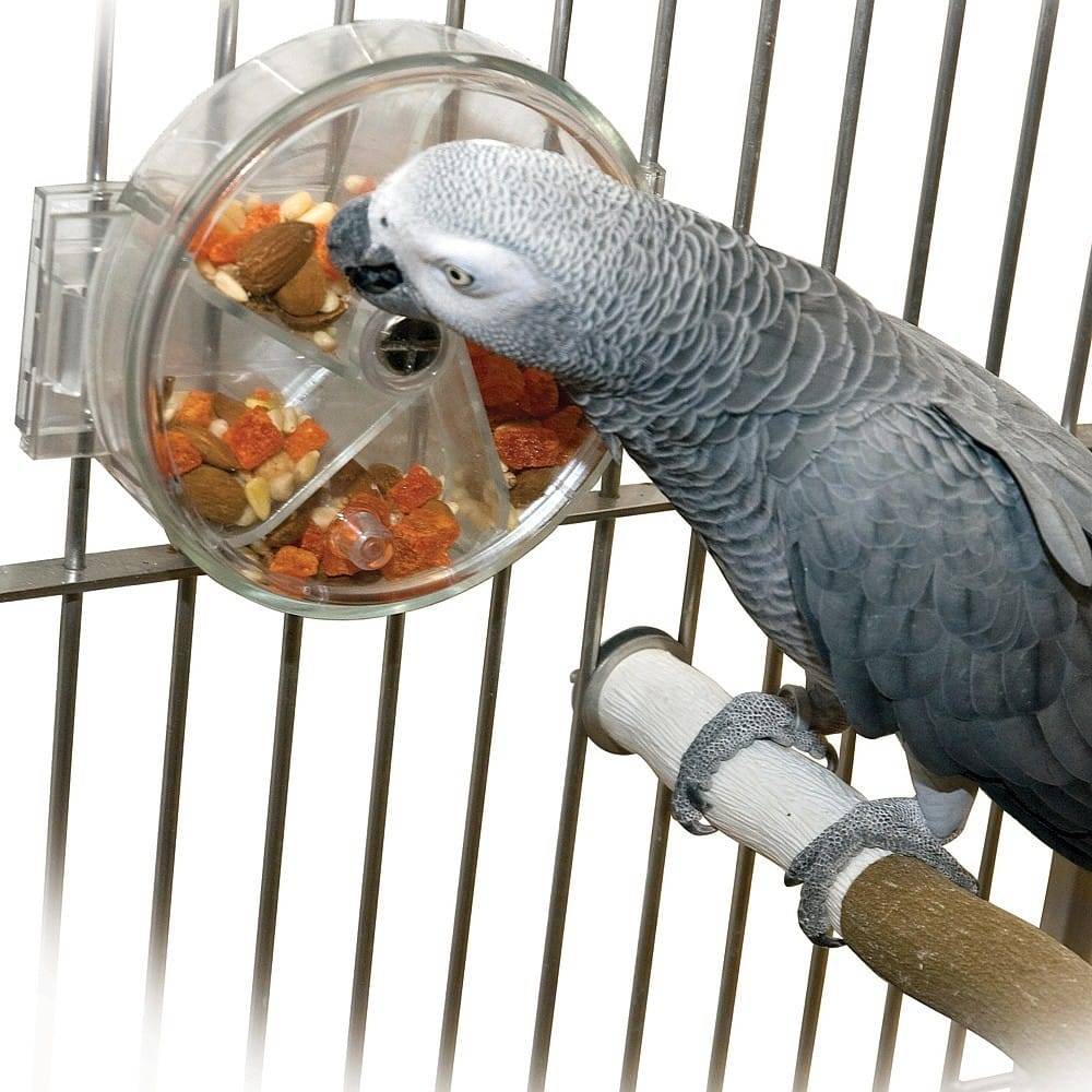 Колесо-кормушка для попугая