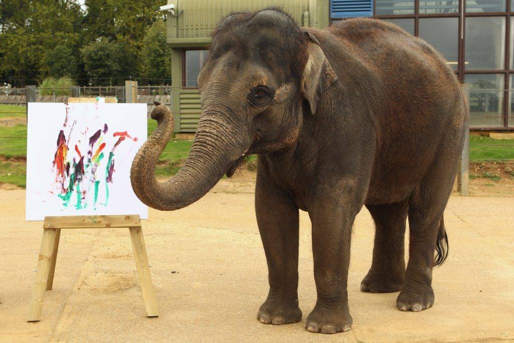 Слон рисует картины