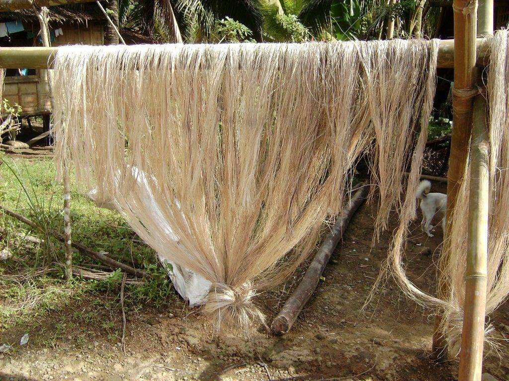 Волокно текстильного банана (абака)