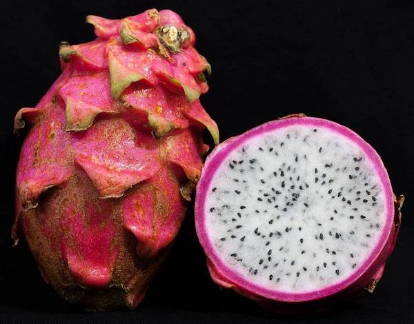 Плоды гилоцереуса волнистого (питахайя) фото