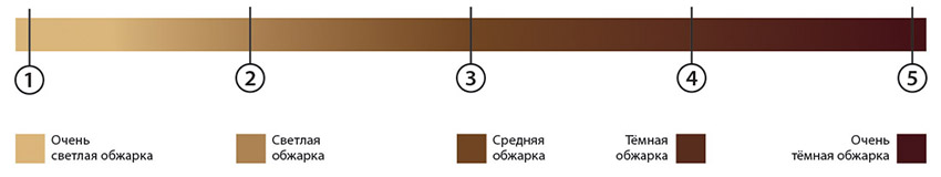 Какого цвета ягоды кофейной пальмы От ростка до чашки. Как это все работает на самом деле (часть 1)